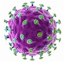Zer da papilomavirus infekzioa