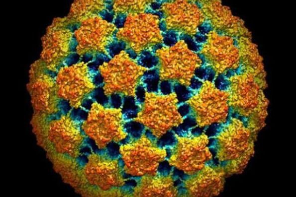 Giza papilomaren birusa diagnostikatzeko metodoak
